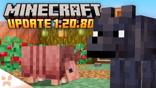 EVERYTHING in the BRAND NEW Minecraft 12080 Update [upl. by Fredericka791]