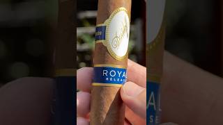 Another EXTREMELY expensive cigar 💸💸 cigar cigars luxury [upl. by Boni]