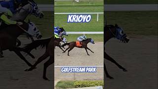 Krioyo and Emisael Jaramillo win race 7 for trainer Antonio Sano GulfstreamPark SunshineMeet [upl. by Moclam]