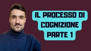 IL PROCESSO DI COGNIZIONE  Latto di citazione la comparsa di risposta ludienza di trattazione [upl. by Are700]