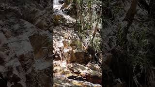 Cachoeira de Zé Piegas 🥾⛰️🍃 [upl. by Wey]