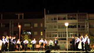 Croatian folk song Dalmacija u mom oku [upl. by Eeresid908]