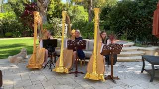 Across The Stars Star Wars  Quarantine Harp Trio [upl. by Xenos]