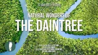 Daintree Rainforest Documentary in 4K  Australia Nature  Queensland  Original Documentary [upl. by Ainafetse]