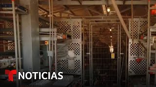 Entramos a una granja que produce huevos para ver cómo evitar la gripe aviar  Noticias Telemundo [upl. by Ostler558]