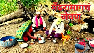 मेंढरामागच्या दुपारच्या जेवणाचा बेत  dhangari jivan [upl. by Kaz]