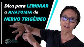 Dica para lembrar a anatomia do nervo trigêmeo [upl. by Verdi]