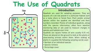 GCSE Biology exam questions Use of quadrats question video [upl. by Ahseki]