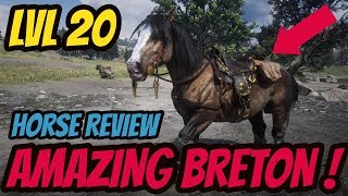 LEVEL 20 BRETON IS AMAZING  Red Dead Online [upl. by Nilat]