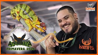 Nuestra Primer ANIMALIA 2024 [upl. by Iralav101]