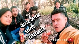 🌲जंगल की वीडियो 👆🤩 ll चोरीखाल ll Vijju Bhai Vlog ll Uttarakhand Village ll Pahadi [upl. by Gnouh]