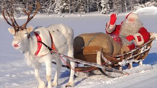 Père Noël amp rennes en Laponie 🎅🦌 les meilleurs départs amp promenades du Papa Noël en Finlande bestof [upl. by Hall]