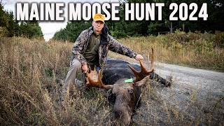 Quick Shot The Fastest Moose Hunt You’ll Ever See  Maine Moose Hunt 2024 [upl. by Ted72]