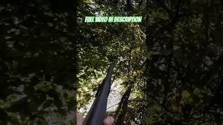 One Shot I got em Daily Dose Of Hunting ep186 shortvideo food youtubeshorts hunting shorts [upl. by Mathias]