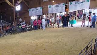 2024 Celebrity Showmanship [upl. by Bridie]