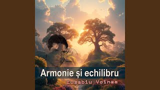 Armonie Și Echilibru [upl. by Grimes408]