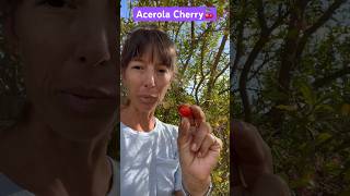 Acerola cherry my absolute favorite bc it tastes like the raspberries my Grandma Ivy grew🩷🍒 [upl. by Ellemrac]