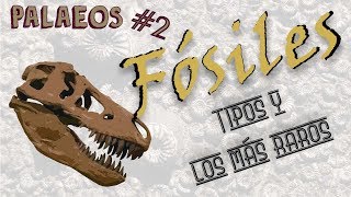 Palaeos programa 2 Tipos de fósiles  Paleodex  Dromornis [upl. by Bern]