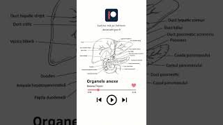 admitere admiteremedicina umf biologie examen anatomie fiziologie student doctor reels [upl. by Strephonn]