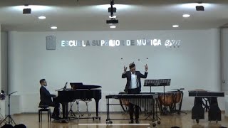 Ney Rosauro  Vibraphone Concerto [upl. by Stelmach]