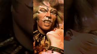 The Curious Cat The Rum Tum Tugger from CATS shorts  Cats The Musical [upl. by Cilegna]