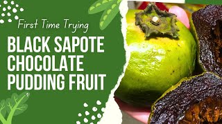 FIRST TIME TRYING THE BLACK SAPOTE FRUIT or CHOCOLATE PUDDING FRUIT fruits foodreview [upl. by Ogeid]