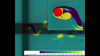 VIV simulation using a DFIB DirectForcing Immersed Boundary method [upl. by Sabanrab]