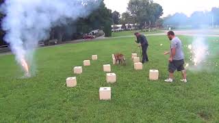 Narcotics Detection Training with Fireworks Distractions [upl. by Dong]