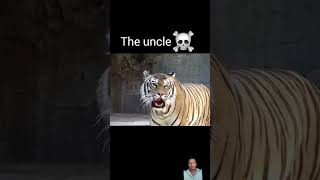 Tiger roar viralvideo youtubeshorts [upl. by Nottus]