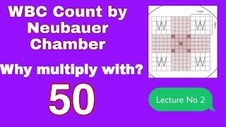 WBCs Manual Count through Neubauer Chamber and its calculation [upl. by Enenaj]