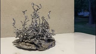 Aluminum Anthill Casting 16 [upl. by Adoc]