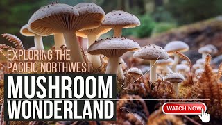 Exploring the Pacific Northwest wMushroom Wonderland 🍄 ✨ The MycoGeeky Podcast [upl. by Garlen637]