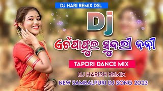 A Champa Phula Sundri Nani  Tapori Dance Mix  Dj Hari Remix Dsl [upl. by Kahl]