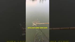 BUAH SEMANGKA UNTUK MEMANCING IKAN shortvideo shortunik [upl. by Luhar]