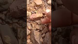 AR52  Finding gemstone 💎⛏ crystals naturalgems rocksandminerals agate rocks nature stone [upl. by Leyameg388]