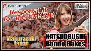 「Katsuobushi」 How Japanese Bonito Flakes Are Made Factory Tour【UMAMI of JAPAN6】 [upl. by Nodnerb]