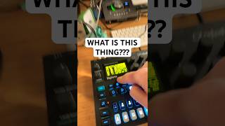 Weirdest thing ever sounddesign electronicmusic edm synthesizer sounddesigner musicgenre [upl. by Anoif41]