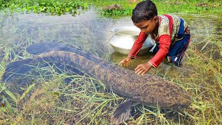 Amazing Traditional Boy Fish Catching By Hand in Water  Amazing Hand Fishing Video Fish [upl. by Lothar]