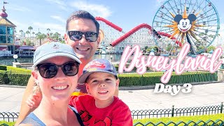 DISNEYLAND VLOG 2024  DAY 3  California Adventure Lamplight Lounge amp Lightning Lane MultiPass [upl. by Anattar878]