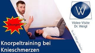 Nie wieder Knieschmerzen Spezielles Knorpeltraining bei Arthrose amp Schmerzen im Knie innen amp außen [upl. by Esinyl]