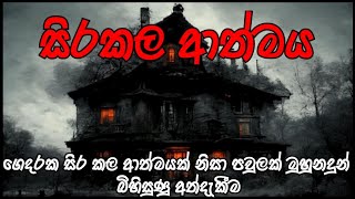 Holman katha  ghost sinhala tv  horror stories  holman katha  holman  episode  mahasona [upl. by Emmeram]