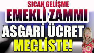 Emekli Zammı Asgari Ücret Mecliste [upl. by Ardra]