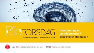 BIOtorsdag Hvordan lagres langtidsminner [upl. by Aerdied]