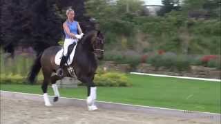 wwwdressagetalentscom  Sparkling Champaign [upl. by Sakiv954]