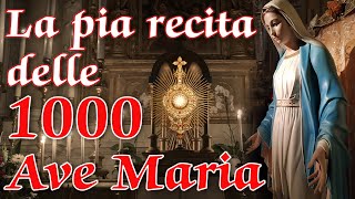 1000 AVE MARIA PER LIMMACOLATA [upl. by Liarret]