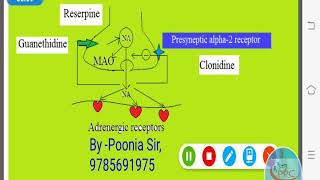 ADRENERGIC NEURONE BLOCKERS  MECHANISM OF ACTION🎯 [upl. by Suzy84]