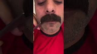 moustache style in 2024 moustaches moustacheclub barber [upl. by Juline]