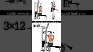 Cable Reverse Grip straight back seated high row  youtubeshorts [upl. by Atis]