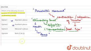 Which of the following structure controls the peristaltic movement of alimentary canal [upl. by Tedman]