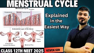 Menstrual Cycle Explained  Human Reproduction class 12  Part7  by Vivek Sir [upl. by Carmelita]